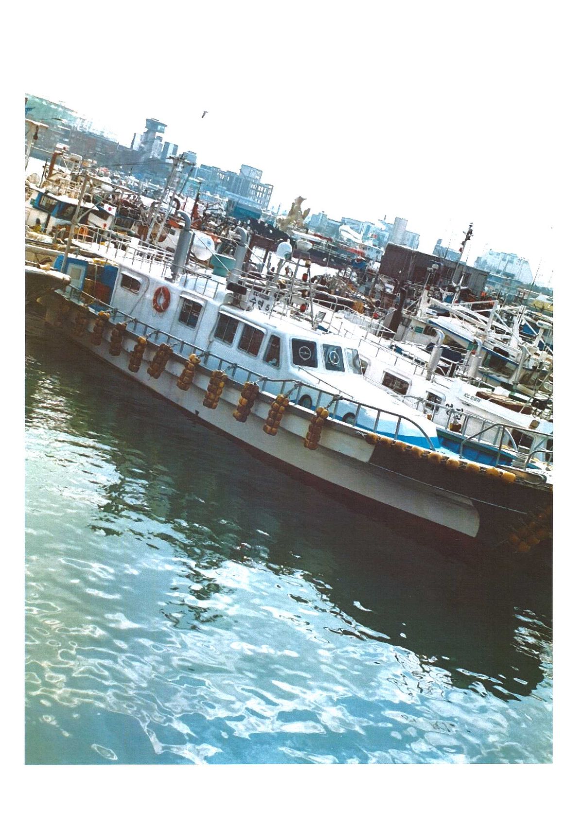 수연5호